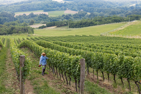 Sedona: Alcantara Vineyard Horseback Riding Tour