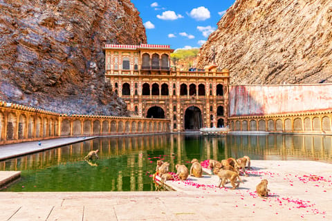 Jaipur: Private Evening Tour & Monkey Temple Sunset by Car