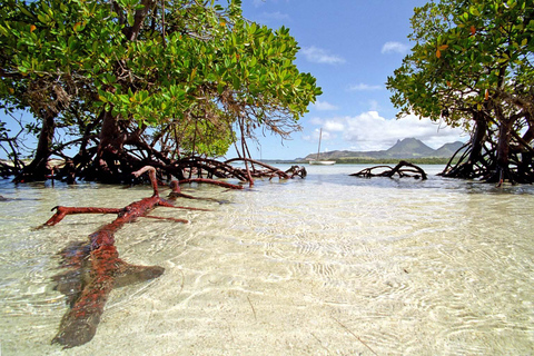 Excursión en catamarán a Ile au Cerfs con almuerzo y cascada GRSECatamarán compartido + servicio de recogida y regreso privado