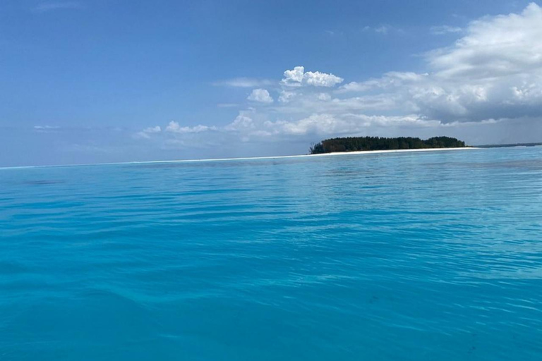 Zanzibar: tour dell'isola di Pungume e snorkeling con pranzo barbecueTour privato con servizio di prelievo e rientro in hotel incluso