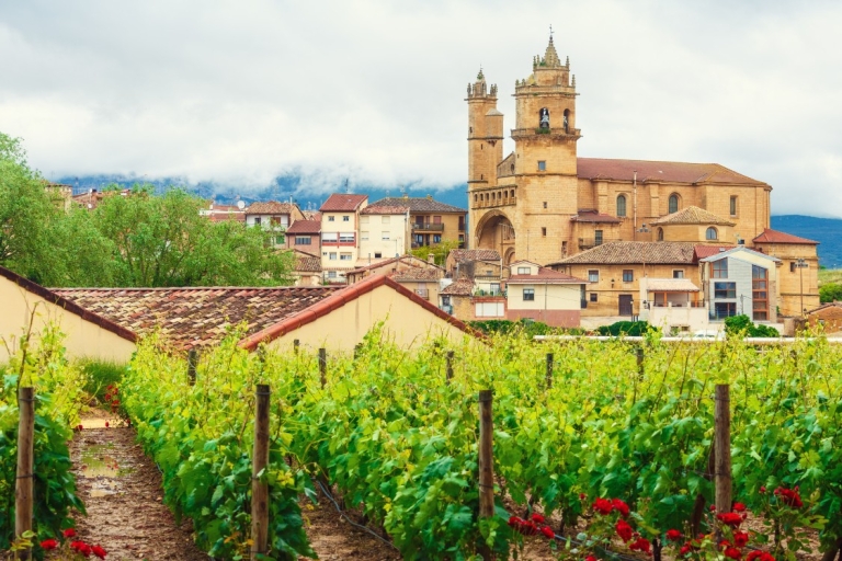 Tour privado de los viñedos de La Rioja desde Bilbao (3 viñedos)