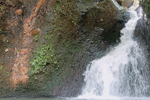 特特巴图：瀑布、香料、梯田、猴子森林特特巴图之旅、香料、瀑布、梯田、猴林