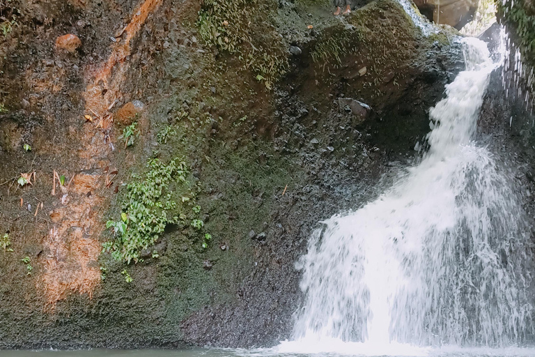 特特巴图：瀑布、香料、梯田、猴子森林特特巴图之旅、香料、瀑布、梯田、猴林