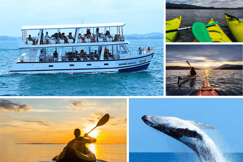 Mirissa: Blue Whale Watching & River Kayaking Combo Tour