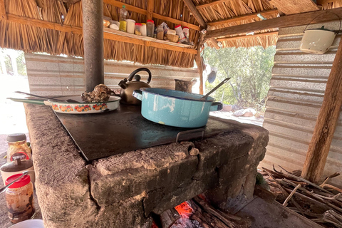 SAN JAVIER MISSION TOUR