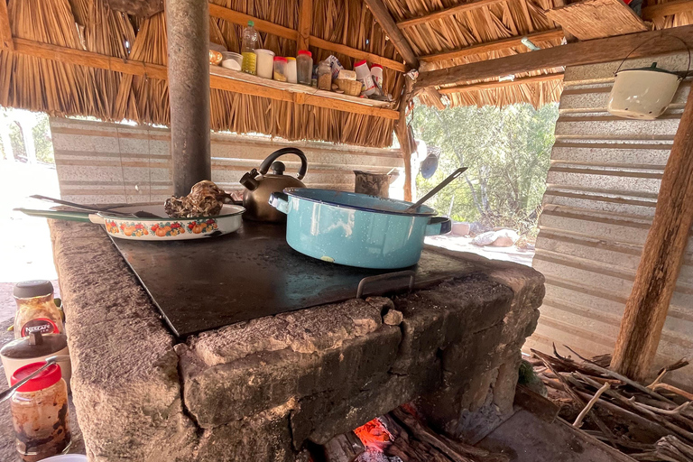 SAN JAVIER MISSION TOUR