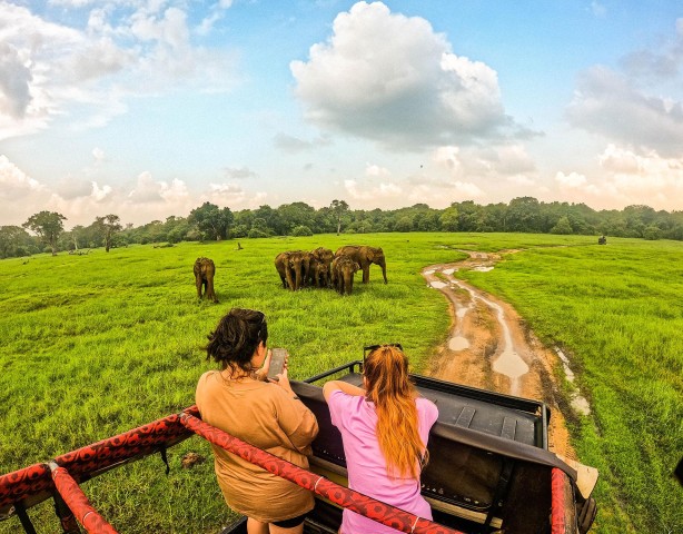 Visit Budget Safari Blitz Half-Day Adventure at Hurulu Eco Park in Polonnaruwa y Hurulu Eco Park