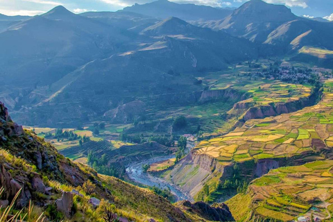 Walking Tour through the Historic Center of Arequipa
