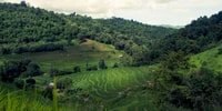 Akha & Lahu village trekking 1 day - Housity