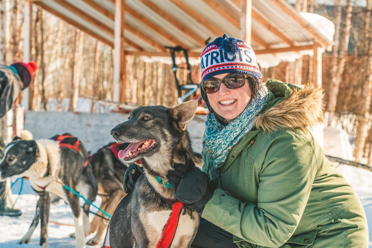 Palmer: "Dogs and Glaciers" Rodelen en Helikoptertour