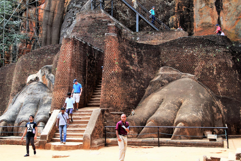 Kandy; jednodniowa wycieczka do Sigiriya i safari na słoniach