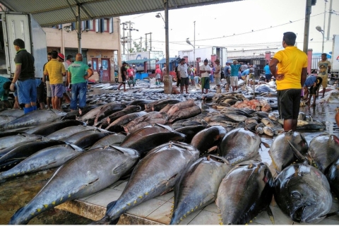 Desde Negombo: Visita a la ciudad y al pueblo pesquero en Tuk-Tuk