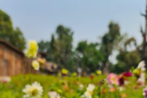 Chiangmai: Sticky vattenfall &amp; Land of angels &amp; Wat ban den.