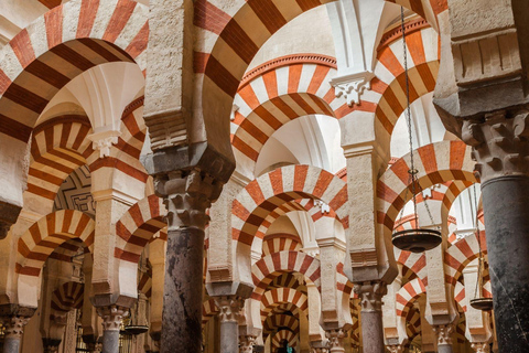 4-tägige Tour durch Andalusien: Cordoba &amp; Sevilla ab MadridHotel Einzelzimmer
