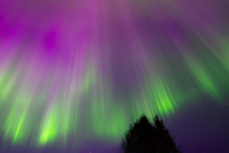 Levi: Nordlichter Pro garantiert – unbegrenzte EntfernungLevi: Nordlichter garantiert – unbegrenzte Entfernung