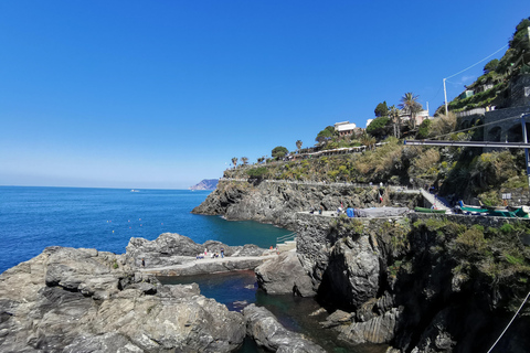 Desde Florencia: Tour en grupo reducido de un día a Cinque Terre y Pisa