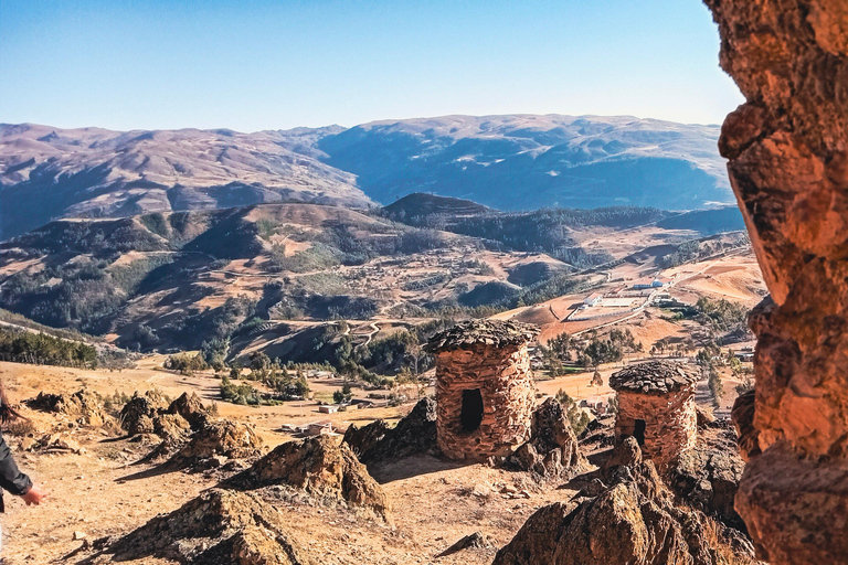 From Cusco: 3-Day Manu National Park Expedition