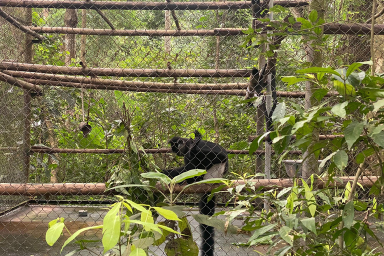 Cuc Phuong National Park - Van Long Day Trip From Hanoi