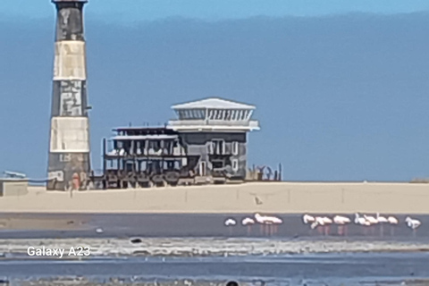 Walvis Bay : Croisière en catamaran et visite du port de Sandwich