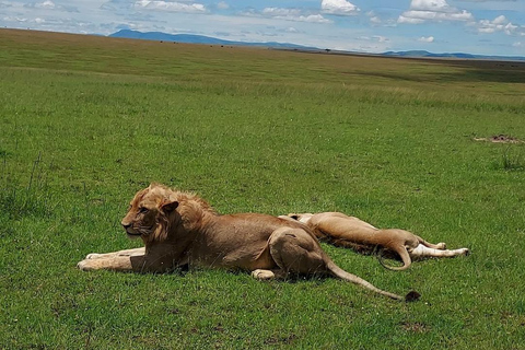 From Nairobi: Private 3-Day Masai Mara Big Five Game Drive