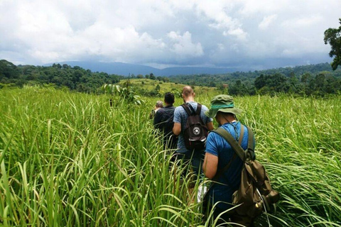 Bangkok: Tour a piedi per piccoli gruppi del Parco Nazionale di Khao YaiTour privato con servizio di prelievo e rientro in hotel