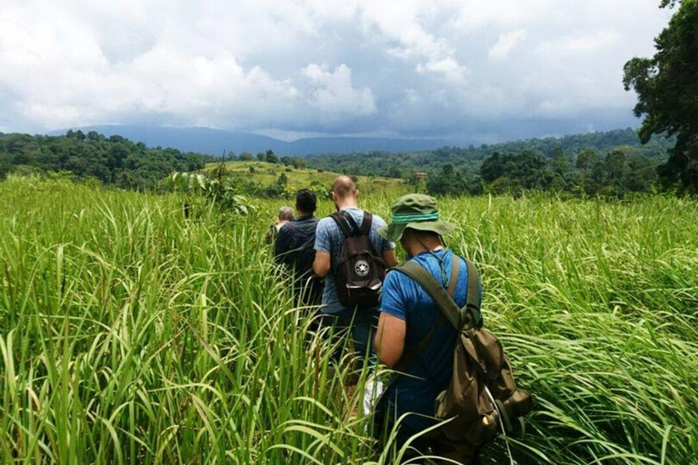 Bangkok: Khao Yai Vandringstur i liten grupp i Khao Yai nationalparkPrivat tur med upphämtning från hotell och avlämning