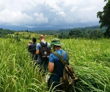 Bangkok: Khao Yai Nature Trails & Heaw Suwat Waterfall