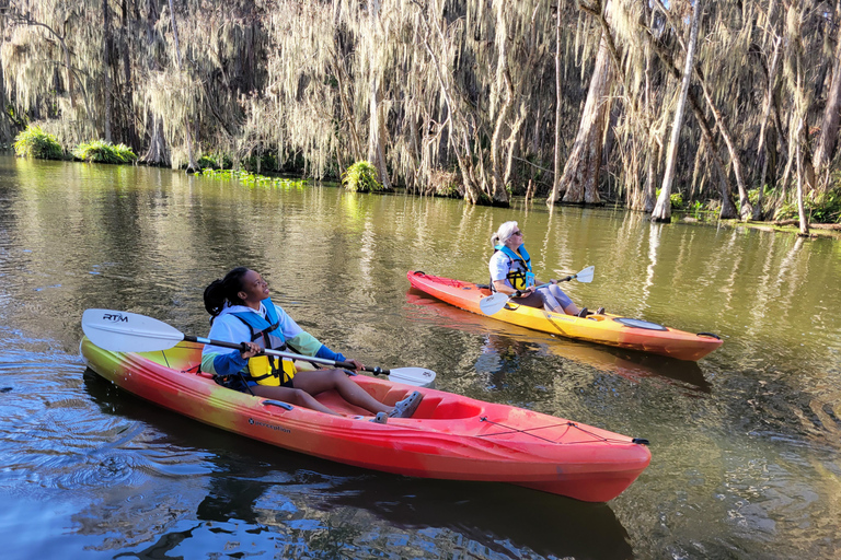 From Orlando: Wild Florida Kayak Tour on the Dora Canal