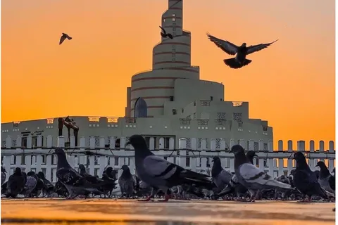 Doha: Alle Attraktionen der Stadtführung von Doha mit Transfer