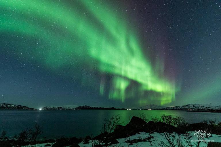 From Tromsø: Northern Lights Bus Tour