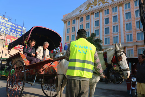 Amritsar: Golden Temple, Jallianwala Bagh, Wagah Border Tour