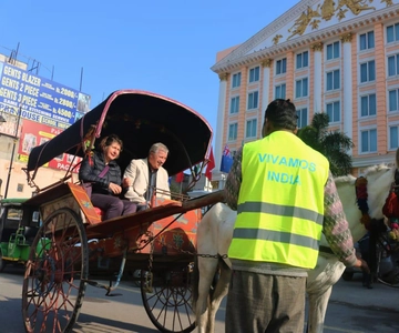 Amritsar: Golden Temple, Jallianwala Bagh, Wagah Border Tour