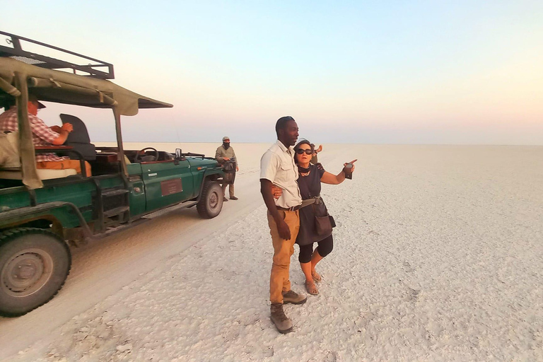 7-Day Senegal & Gambia Tour - Safari, Desert, Beach & Lions