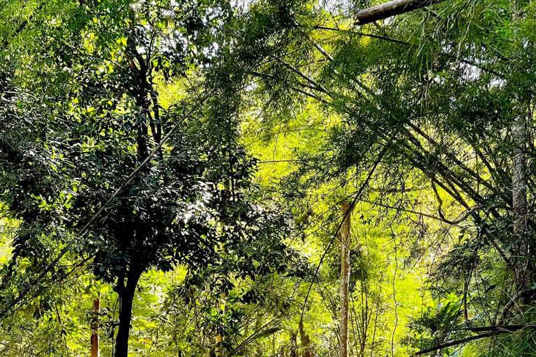 Chiangmai Full-Day Guided Backroad Self Drive Scooter Tour