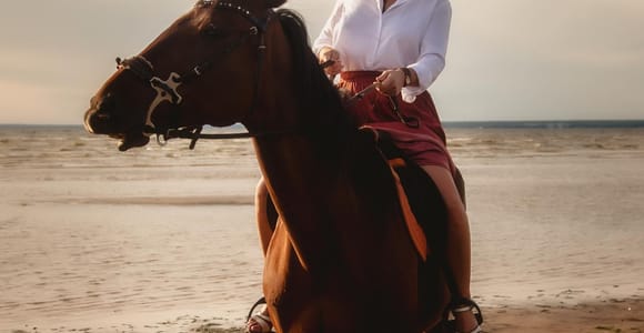 Montego Bay: Horseback Ride & Swim + Transport