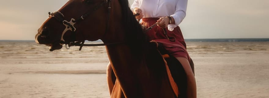 Montego Bay : promenade à cheval et baignade (privé) + transfert