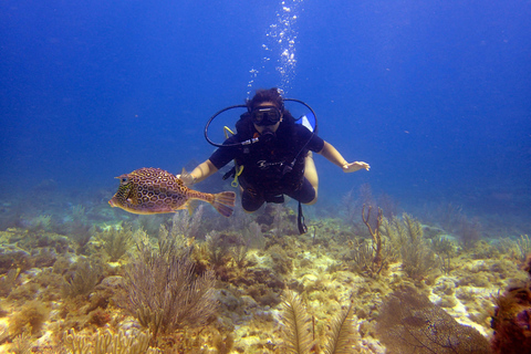 Cancun: 2-Tank Dive for Beginners with MUSA and Reef Dive