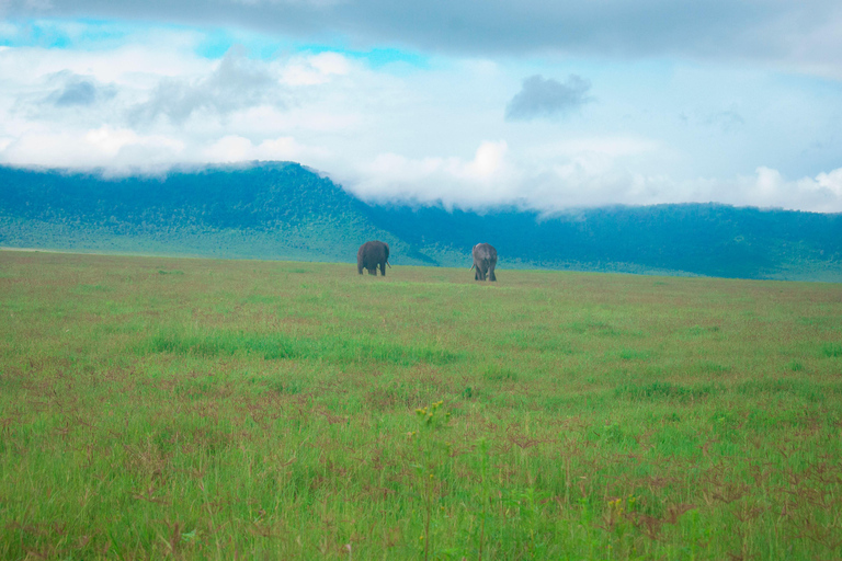 Tanzania: 2-Day Budget Safari to Tarangire and Ngorongoro