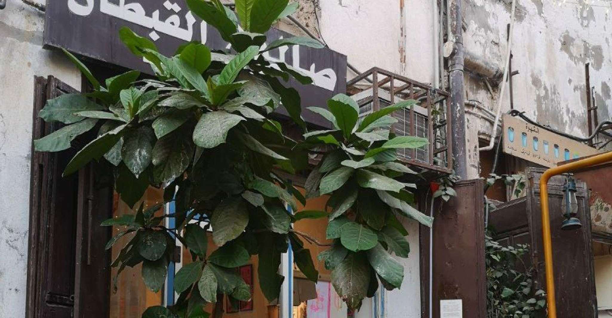 Jeddah: Historic District Tour by a Local licensed Guide photo 6