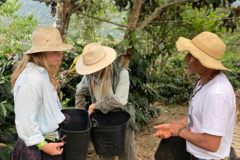 Bogota: Private Coffee Tour in Silvania - Coffee Farm Colombia: Private Coffee Tour