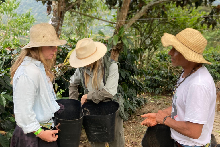 Bogota: Private Coffee Tour in Silvania - Coffee Farm Colombia: Private Coffee Tour