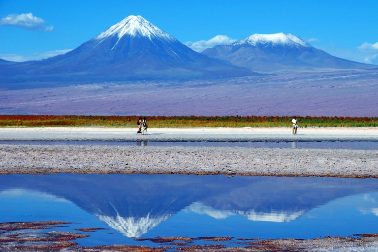 Desierto de Atacama: Refrescante Flotación en Laguna Cejar y Puesta de Sol