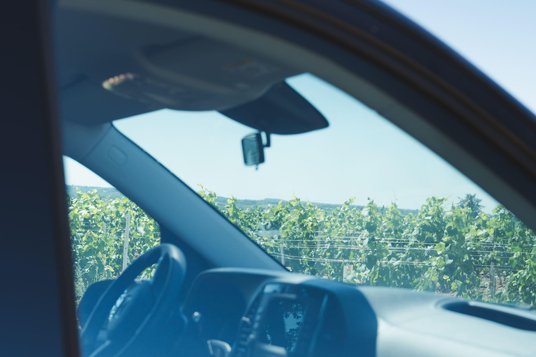 Nantes: Half-Day Wine Country Tour by Minibus Half-day tour