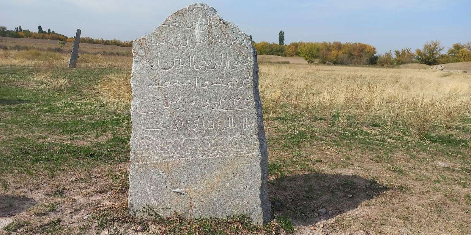 section