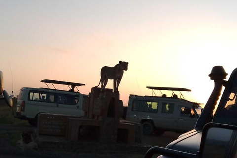 Nairobi: Nairobi National Park Safari with Guide