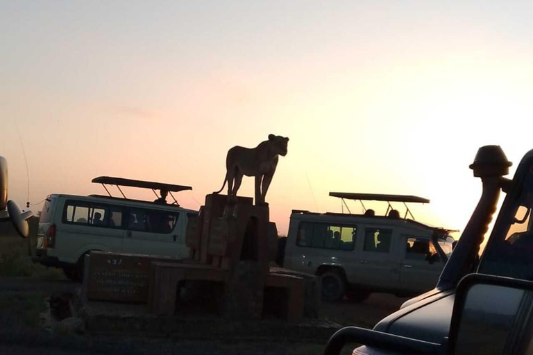 Nairobi: Nairobi National Park Safari with Guide