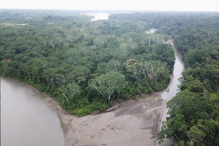 Manu Safaris PeruManu safari Peru