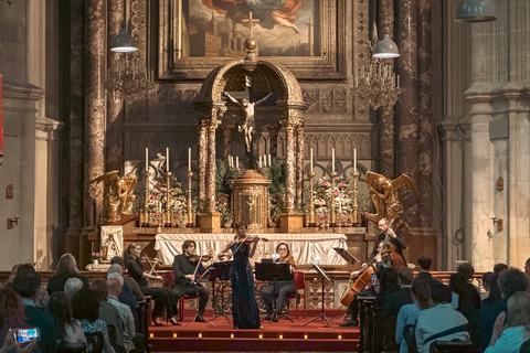 Wien: Klassiska konserter i MinoritkyrkanKategori 2