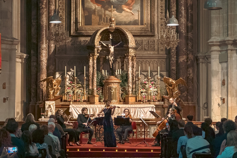 Vienna: Concerti classici nella chiesa minoriticaCategoria 4 - Vista limitata