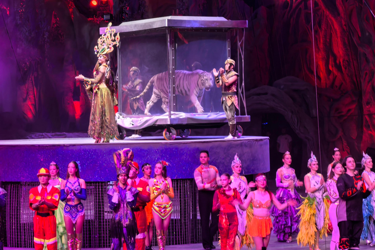 Guangzhou: Chimelong International Circus Ticket VIP Seat Admission Ticket